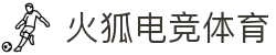 雷火·竞技(中国)-全球领先的电竞赛事平台